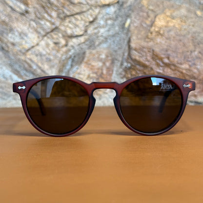 Óculos de Sol Beagá Café Polarizado